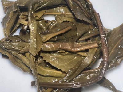 易武生茶（龙珠）图4