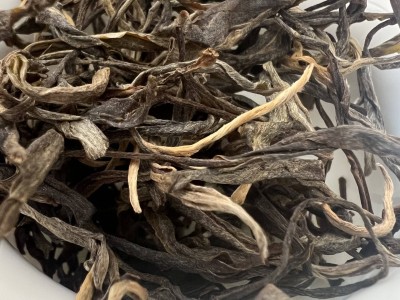 香竹菁古树图2