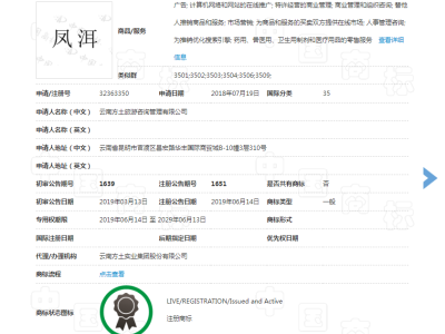 凤洱  35类图2