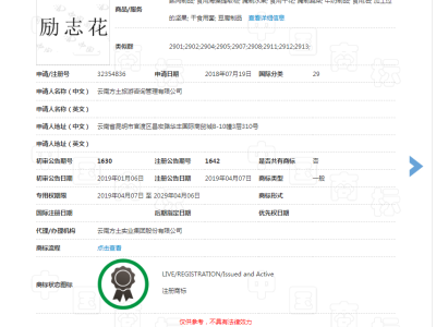 励志花  29类图2