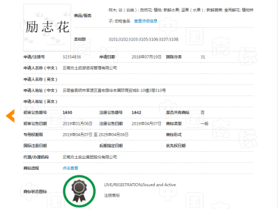 励志花  31类图2
