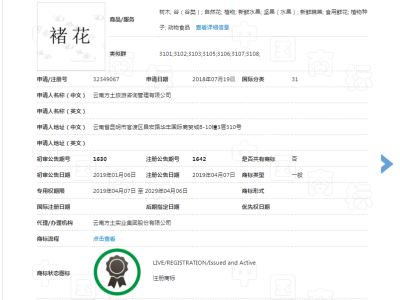 褚花 31类图2
