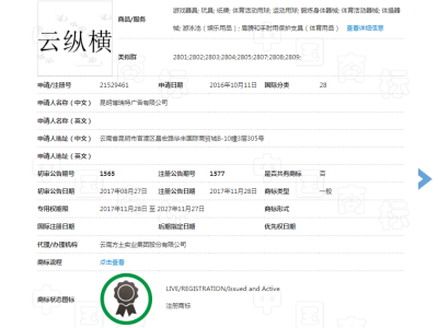 云纵横 28类图2