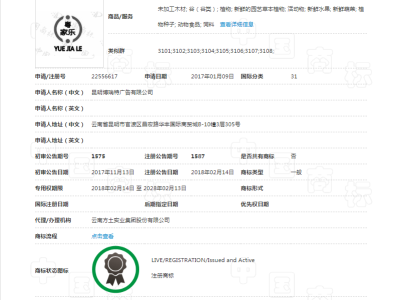 粤家乐    31类图2
