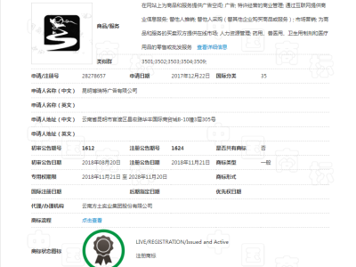 龙王  35类  图形商标图2