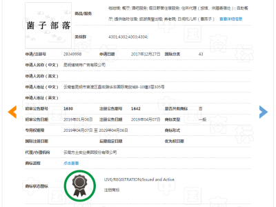 菌子部落   43类图2