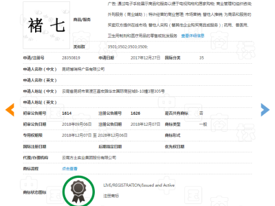 褚七  35类图2