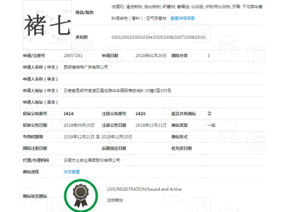 褚七 3类图2