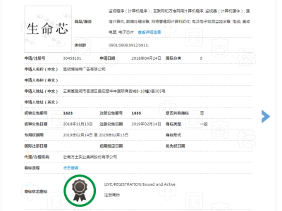 生命芯   9类图2