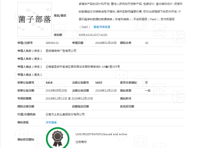 菌子部落   42类图2