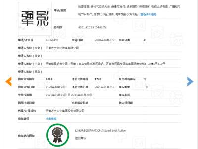 犟影     41类图2