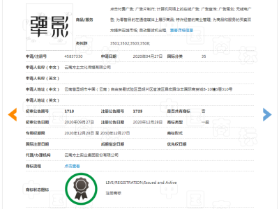 犟影     35类图2