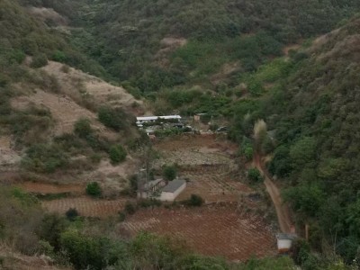 云南省富民县散旦乡20亩带鱼塘基地寻合作或承包图2