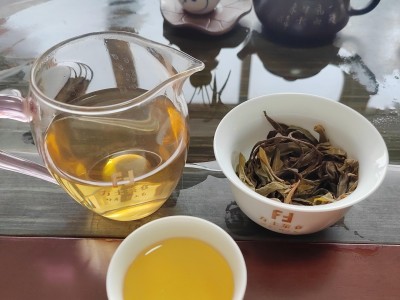 正气塘古树生茶（2023年生普洱）图3
