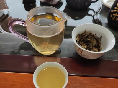 邦东古树生茶（2022年生普洱）图4